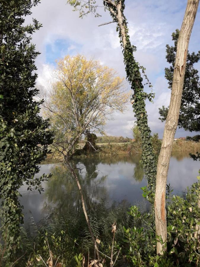 Tenuta Crescentini-Vallemura ,Appartamenti Con Entrata Indipendente San Donà di Piave Extérieur photo