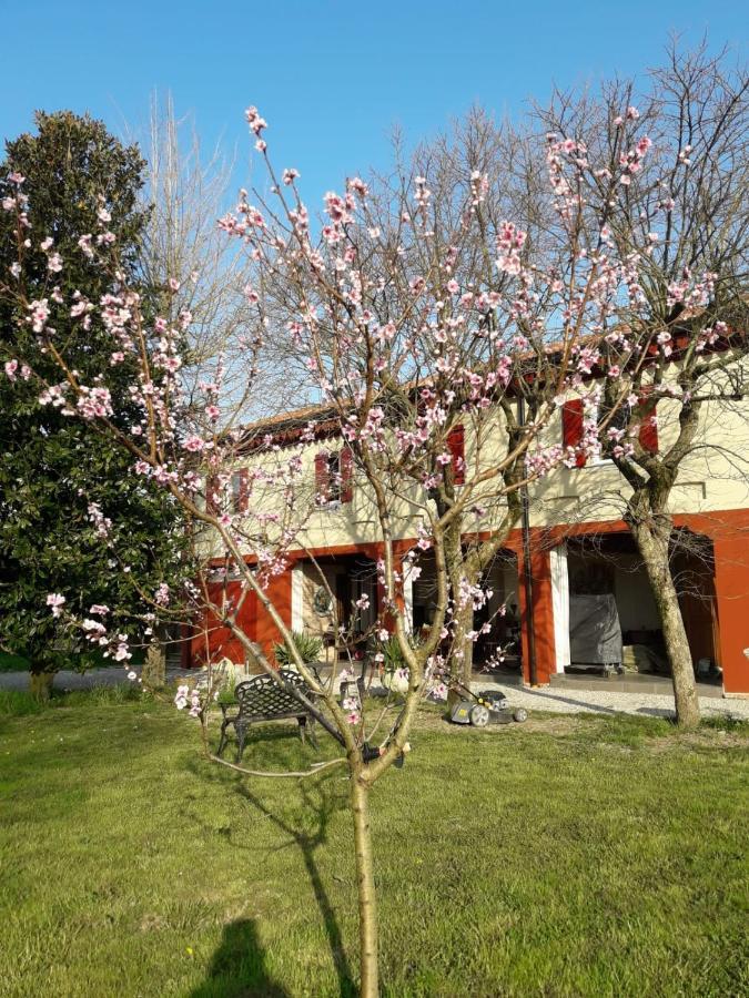 Tenuta Crescentini-Vallemura ,Appartamenti Con Entrata Indipendente San Donà di Piave Extérieur photo
