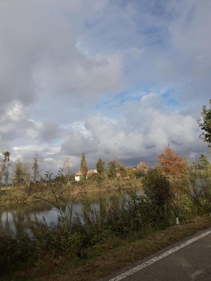 Tenuta Crescentini-Vallemura ,Appartamenti Con Entrata Indipendente San Donà di Piave Extérieur photo
