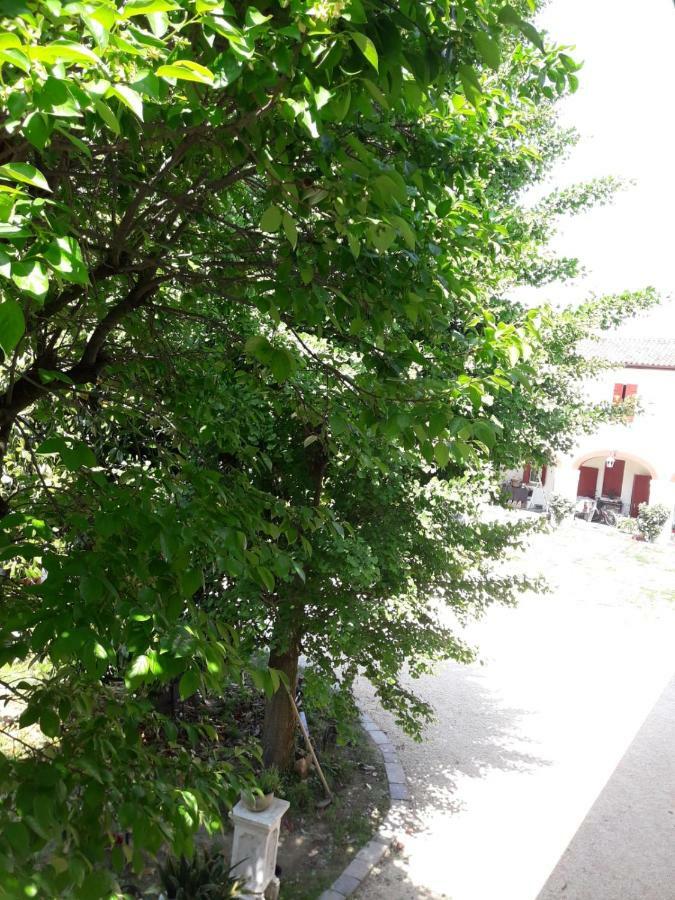 Tenuta Crescentini-Vallemura ,Appartamenti Con Entrata Indipendente San Donà di Piave Extérieur photo