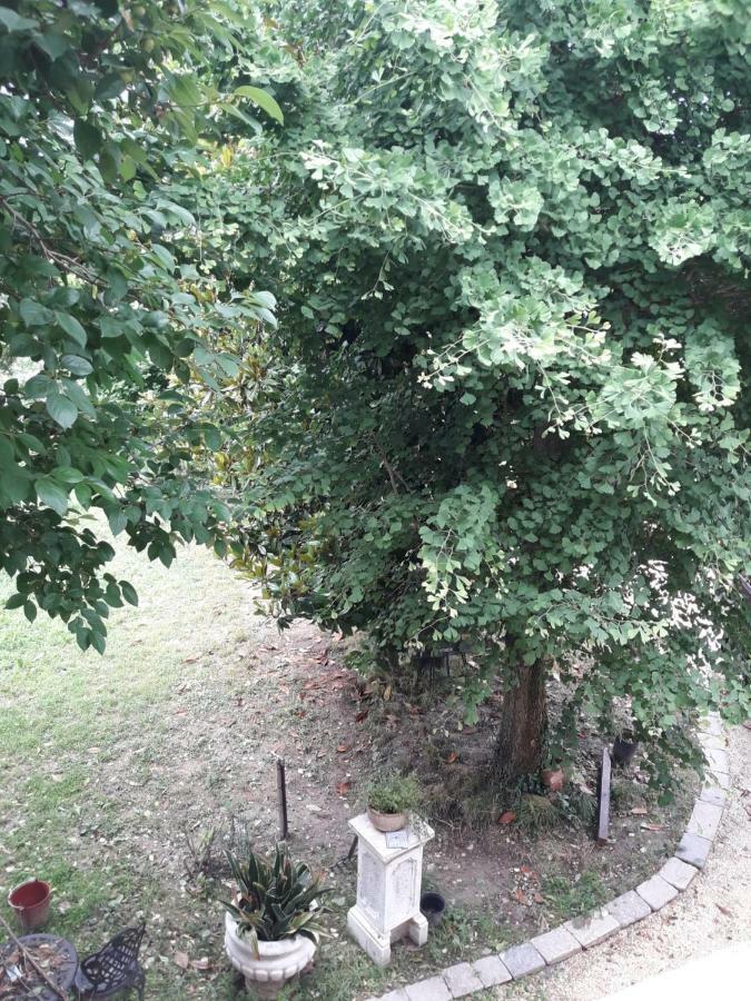 Tenuta Crescentini-Vallemura ,Appartamenti Con Entrata Indipendente San Donà di Piave Extérieur photo