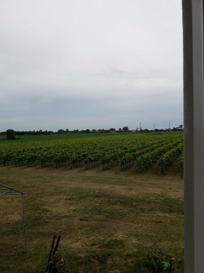 Tenuta Crescentini-Vallemura ,Appartamenti Con Entrata Indipendente San Donà di Piave Extérieur photo