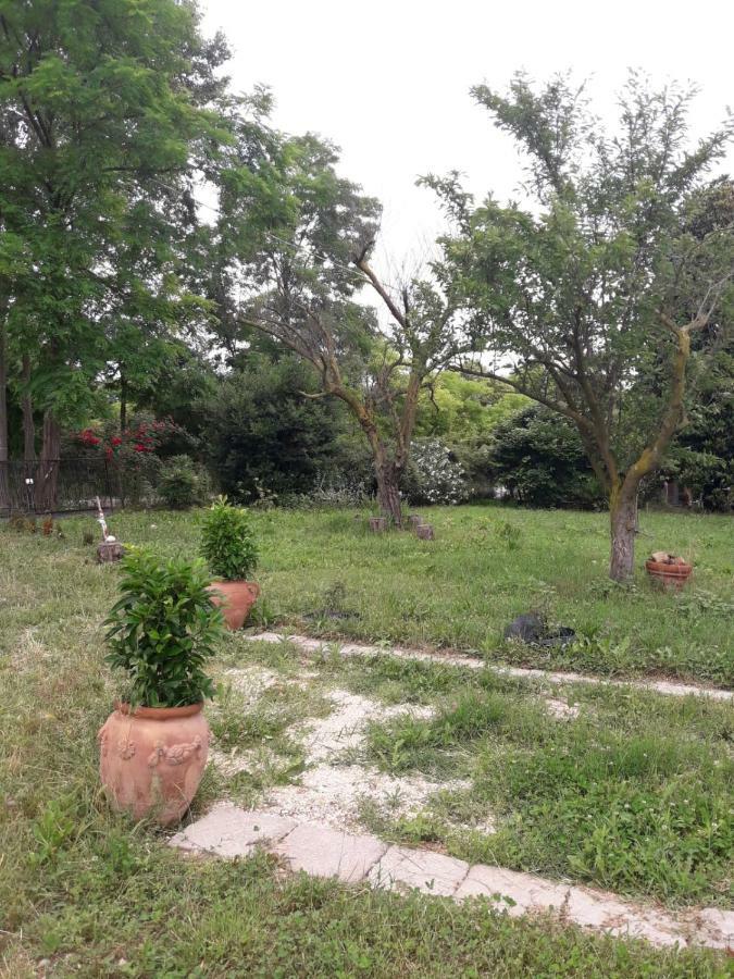 Tenuta Crescentini-Vallemura ,Appartamenti Con Entrata Indipendente San Donà di Piave Extérieur photo