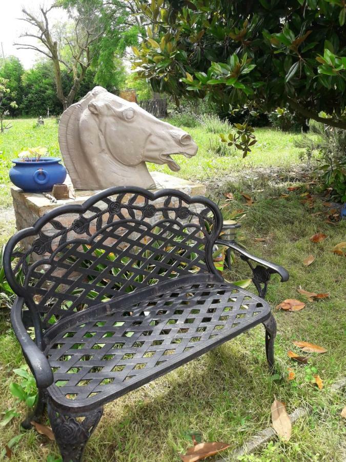 Tenuta Crescentini-Vallemura ,Appartamenti Con Entrata Indipendente San Donà di Piave Extérieur photo