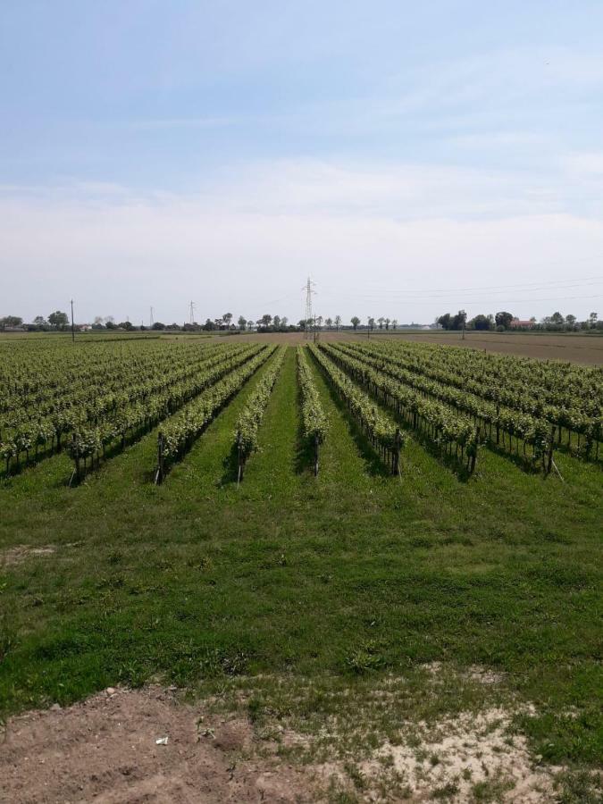 Tenuta Crescentini-Vallemura ,Appartamenti Con Entrata Indipendente San Donà di Piave Extérieur photo