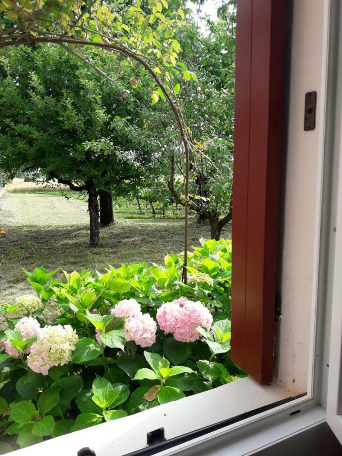 Tenuta Crescentini-Vallemura ,Appartamenti Con Entrata Indipendente San Donà di Piave Extérieur photo