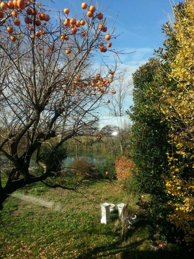 Tenuta Crescentini-Vallemura ,Appartamenti Con Entrata Indipendente San Donà di Piave Extérieur photo