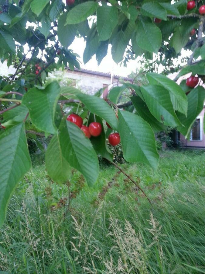 Tenuta Crescentini-Vallemura ,Appartamenti Con Entrata Indipendente San Donà di Piave Extérieur photo